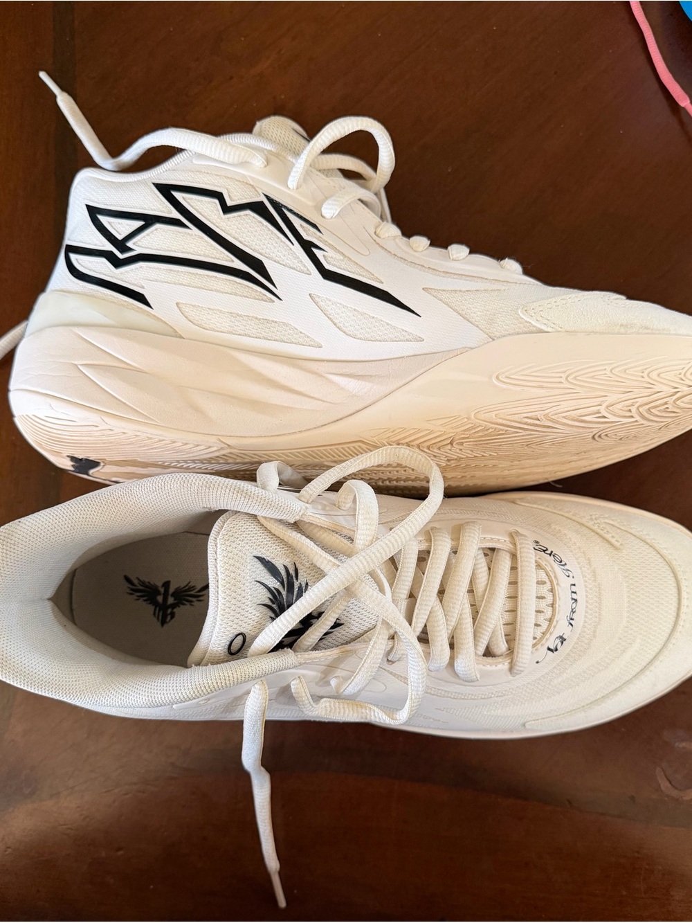 Puma Melos